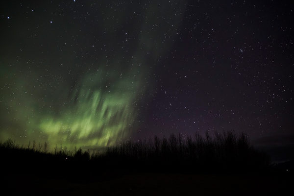 aurora1-shop